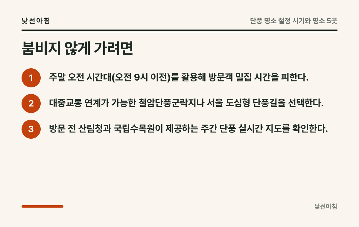 붐비지 않게 가려면 요약 카드: 주말 오전 시간대(오전 9시 이전)를 활용해 방문객 밀집 시간을 피한다., 대중교통 연계가 가능한 철암단풍군락지나 서울 도심형 단풍길을 선택한다., 방문 전 산림청과 국립수목원이 제공하는 주간 단풍 실시간 지도를 확인한다.